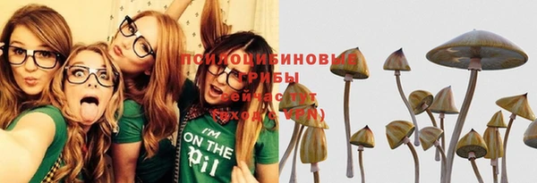 мяу мяу мука Абдулино