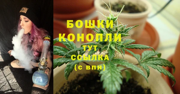 первитин Абинск