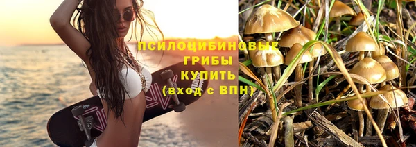 первитин Абинск