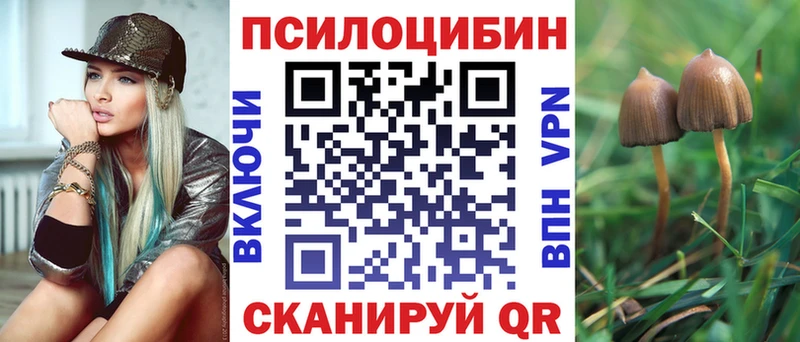 Галлюциногенные грибы Psilocybe  где найти наркотики  Болохово 
