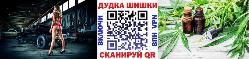 Каннабис планчик  где купить   Болохово 